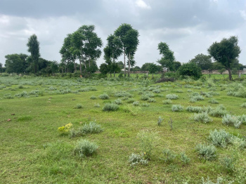  Agricultural Land for Sale in Mahal Road, Jagatpura, Jaipur