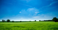  Agricultural Land for Sale in Mahal Road, Jagatpura, Jaipur