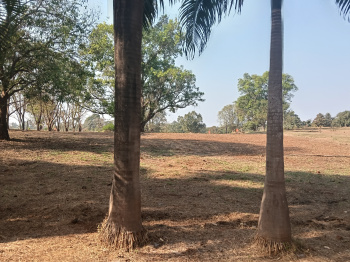  Residential Plot for Sale in Karjat, Raigad
