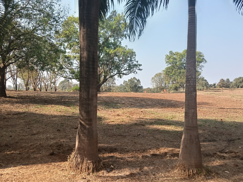 Karjat, Raigad photo 2