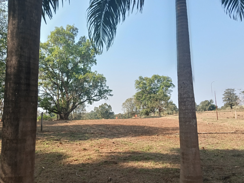 Karjat, Raigad photo 3