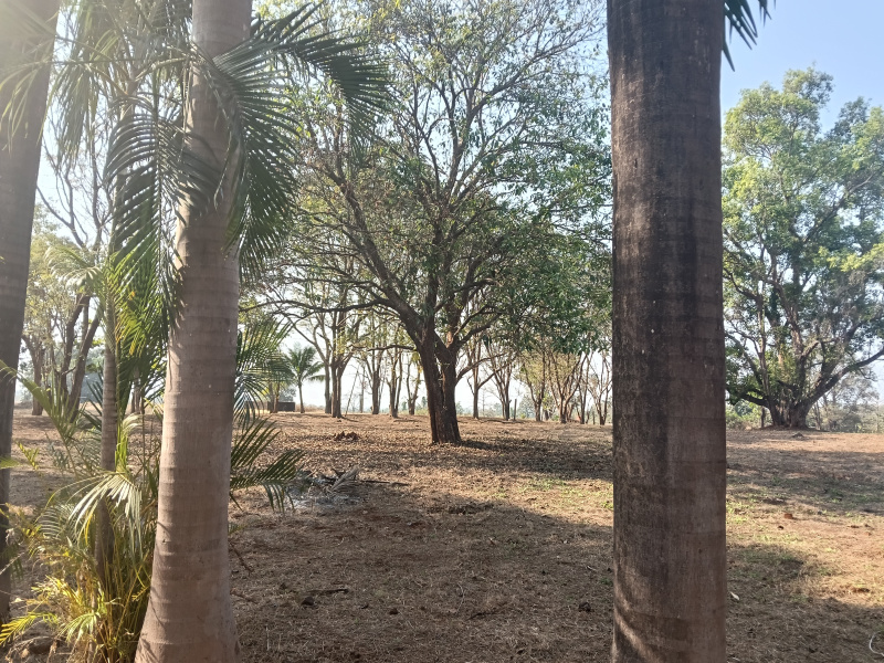 Karjat, Raigad photo 4