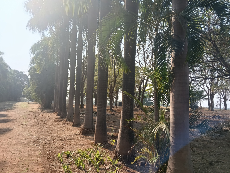 Karjat, Raigad photo 5