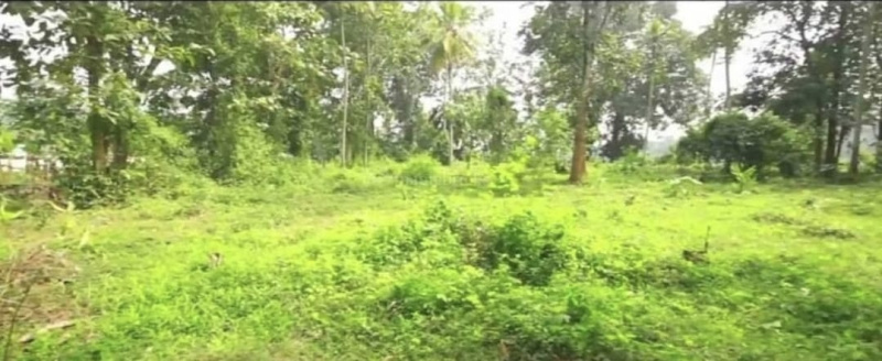  Residential Plot 80 Cent for Sale in Kozhencherry, Pathanamthitta