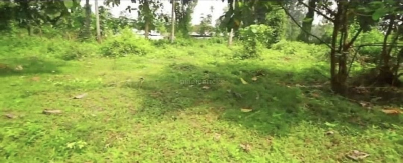  Residential Plot 80 Cent for Sale in Kozhencherry, Pathanamthitta
