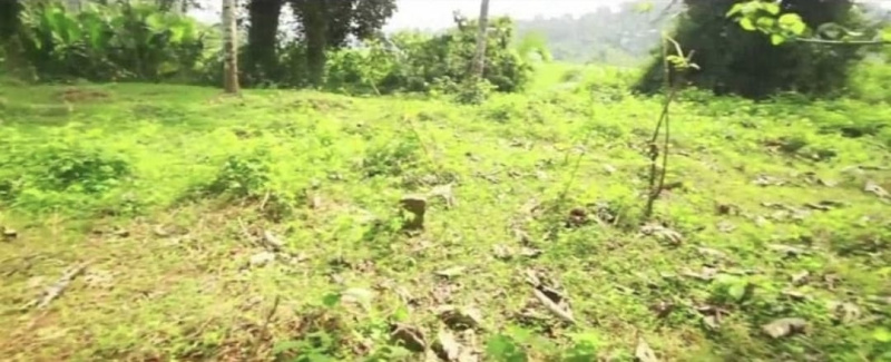 Residential Plot 80 Cent for Sale in Kozhencherry, Pathanamthitta