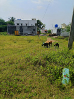 Residential Plot for Sale in Thorapadi Vellore