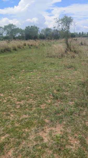  Residential Plot 200 Sq.ft. for Sale in Velugubanda, Rajahmundry