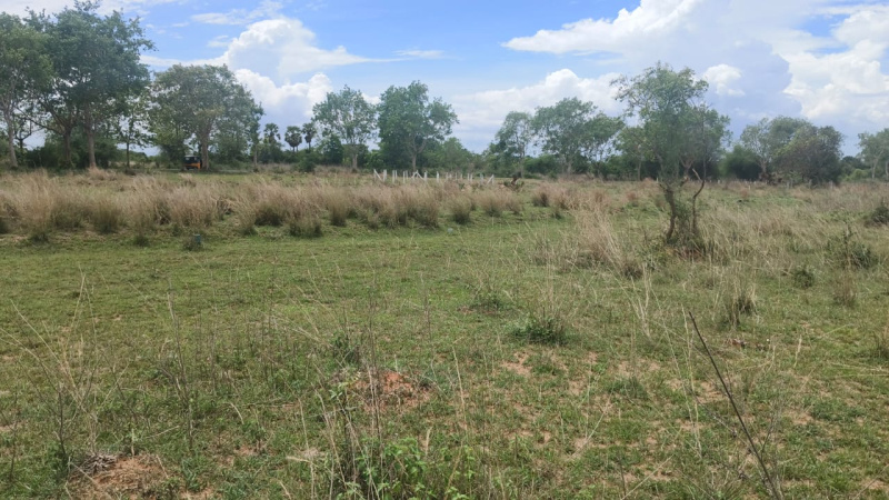  Residential Plot 200 Sq.ft. for Sale in Velugubanda, Rajahmundry