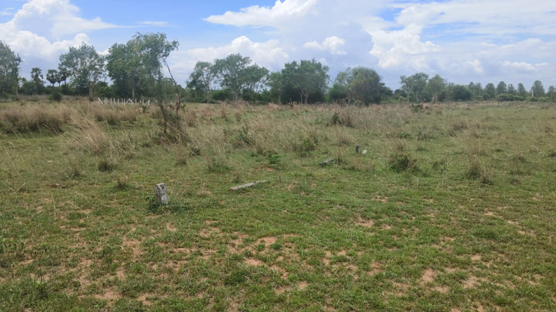  Residential Plot 200 Sq.ft. for Sale in Velugubanda, Rajahmundry