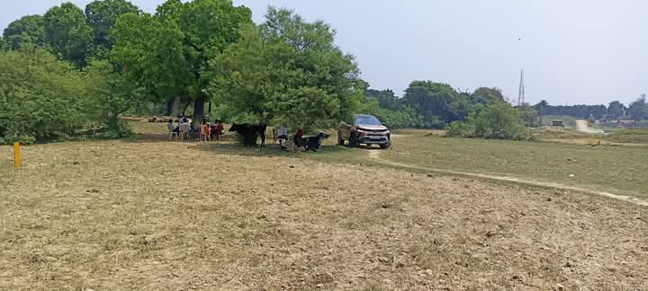  Residential Plot 1000 Sq.ft. for Sale in Rajendra Nagar, Gorakhpur