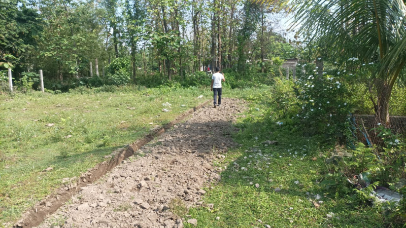  Residential Plot 720 Sq.ft. for Sale in Sevoke Road, Siliguri