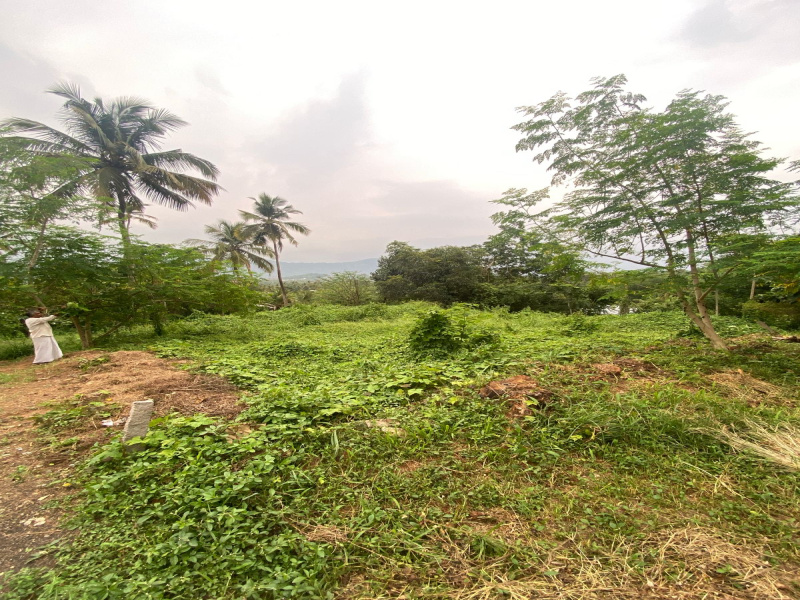  Residential Plot 20 Cent for Sale in Perinthalmanna, Malappuram