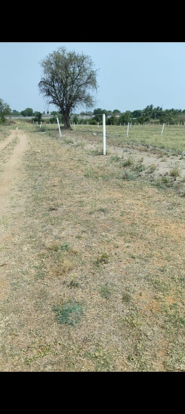  Agricultural Land 3 Acre for Sale in Chevella Mandla, Hyderabad
