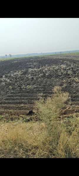  Agricultural Land 24 Guntha for Sale in Chevella Mandla, Hyderabad