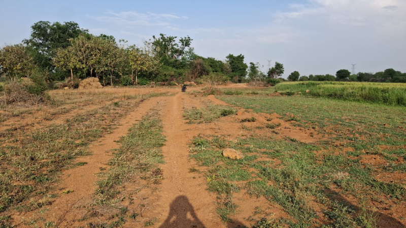  Agricultural Land 1 Acre for Sale in Shabad, Rangareddy