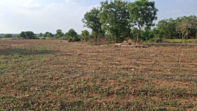  Agricultural Land 1 Acre for Sale in Shabad, Rangareddy