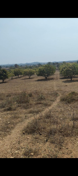  Agricultural Land 2 Acre for Sale in Narayanpet, Mahbubnagar