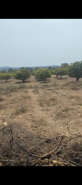  Agricultural Land 2 Acre for Sale in Narayanpet, Mahbubnagar