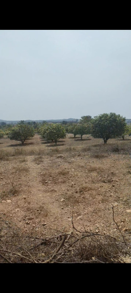  Agricultural Land 2 Acre for Sale in Narayanpet, Mahbubnagar