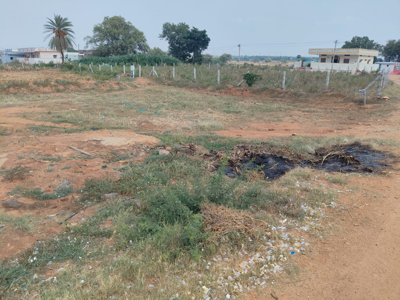  Agricultural Land 20 Guntha for Sale in Shabad, Rangareddy