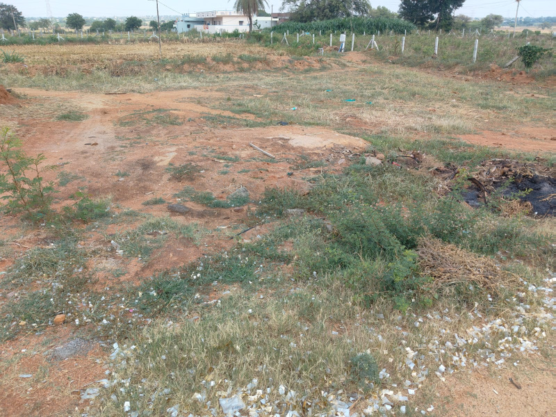  Agricultural Land 20 Guntha for Sale in Shabad, Rangareddy