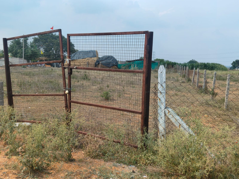  Agricultural Land 10 Guntha for Sale in Shabad, Rangareddy