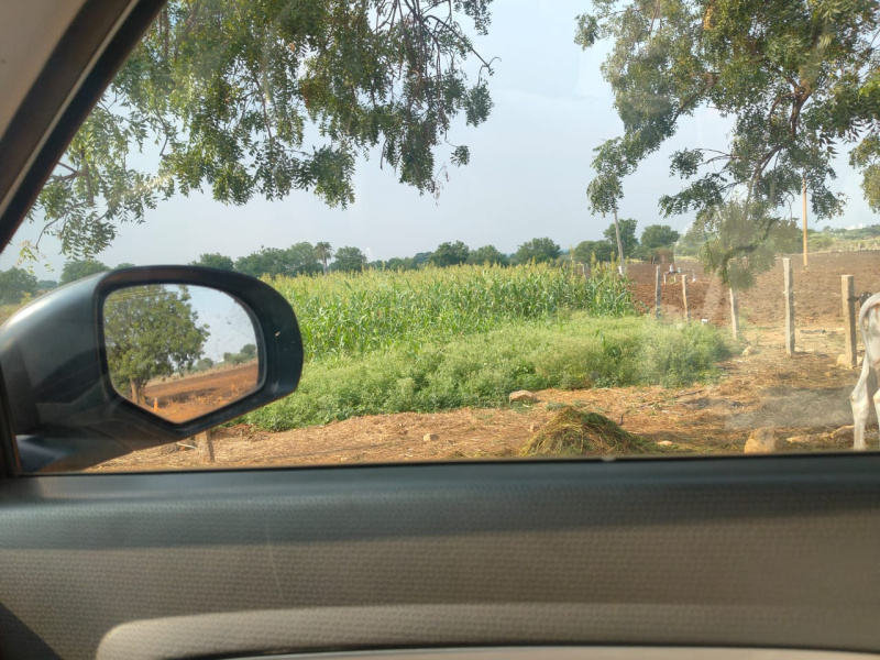  Agricultural Land 10 Guntha for Sale in Shabad, Rangareddy