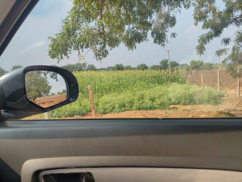  Agricultural Land 10 Guntha for Sale in Shabad, Rangareddy