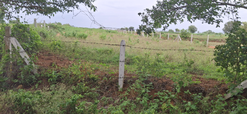  Agricultural Land 20 Guntha for Sale in Chevella, Hyderabad