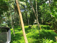  Commercial Land for Sale in Mukkam, Kozhikode