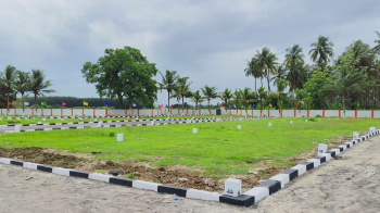  Residential Plot for Sale in Ponneri, Thiruvallur