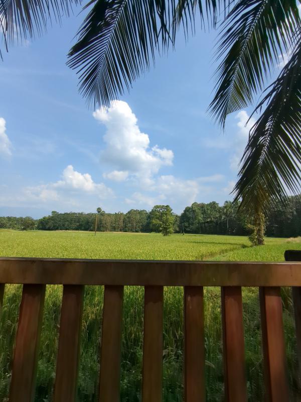 3 BHK House 5 Cent for Sale in Kongad, Palakkad