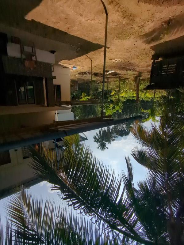 3 BHK House 5 Cent for Sale in Kongad, Palakkad