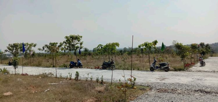  Residential Plot 2400 Sq.ft. for Sale in Hosur, Bangalore