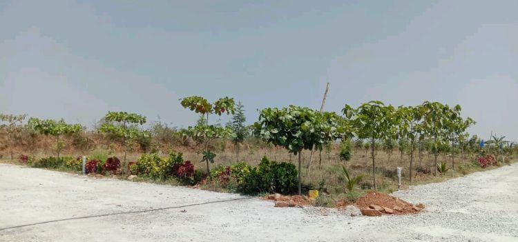  Residential Plot 2400 Sq.ft. for Sale in Hosur, Bangalore
