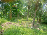  Residential Plot for Sale in Ayoor, Kollam