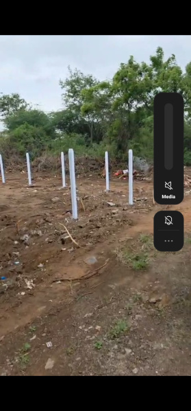  Residential Plot 350 Sq. Yards for Sale in Shamshabad, Hyderabad