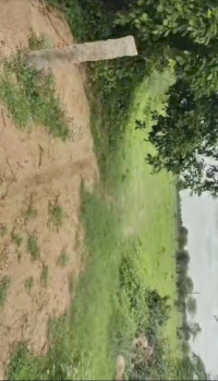  Agricultural Land for Sale in Balanagar, Hyderabad