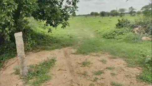  Agricultural Land 6 Acre for Sale in Balanagar, Hyderabad