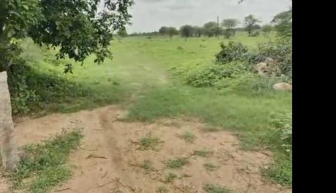  Agricultural Land 6 Acre for Sale in Balanagar, Hyderabad