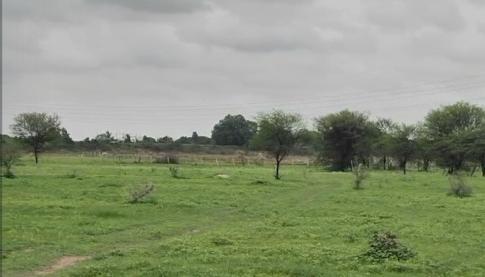  Agricultural Land 6 Acre for Sale in Balanagar, Hyderabad