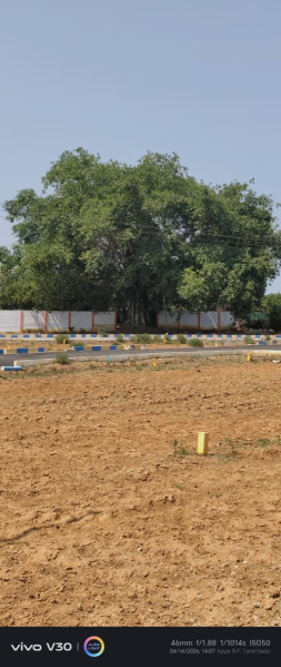  1000 Sq.ft. Residential Plot for Sale in Guduvancheri, Chennai