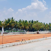  Residential Plot for Sale in Doddaballapur, Bangalore