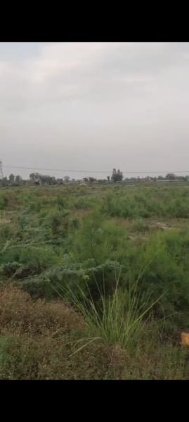  Factory 119 Acre for Sale in Chhata, Mathura