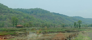  Agricultural Land for Sale in Mahad, Raigad