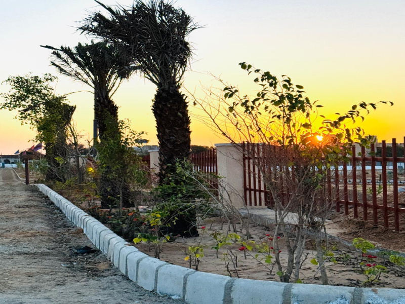  Residential Plot 350 Sq. Yards for Sale in Ajmer Road, Jaipur