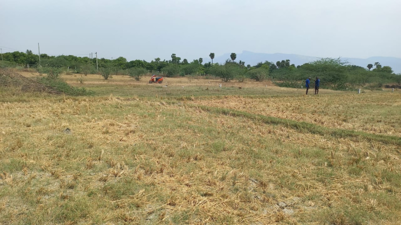  Residential Plot 1400 Sq.ft. for Sale in Avilala, Tirupati