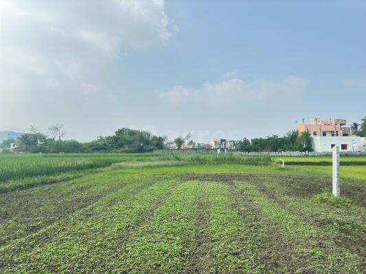  Residential Plot 1400 Sq.ft. for Sale in Avilala, Tirupati