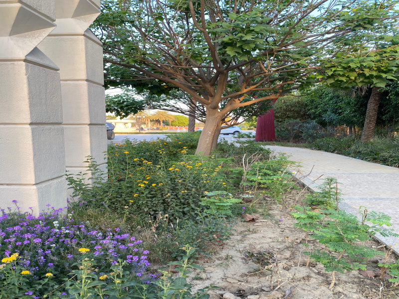  Residential Plot 300 Sq. Yards for Sale in Raebareli Road, Raibareli Road, Lucknow
